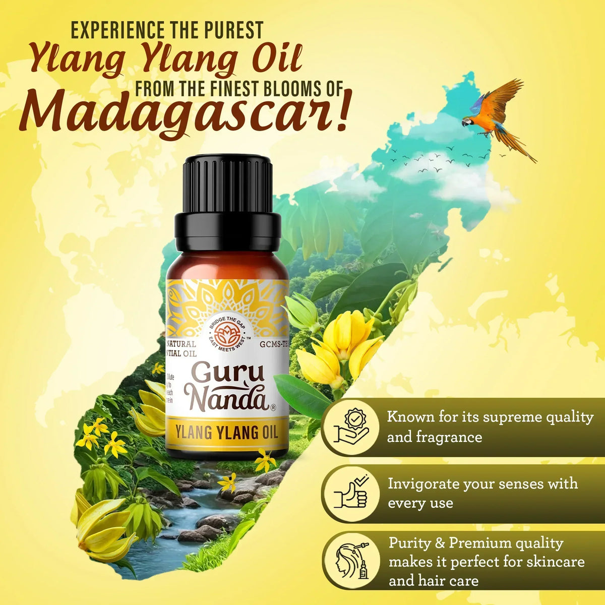 Ylang Ylang Essential Oil, 10mL - 2-Pack
