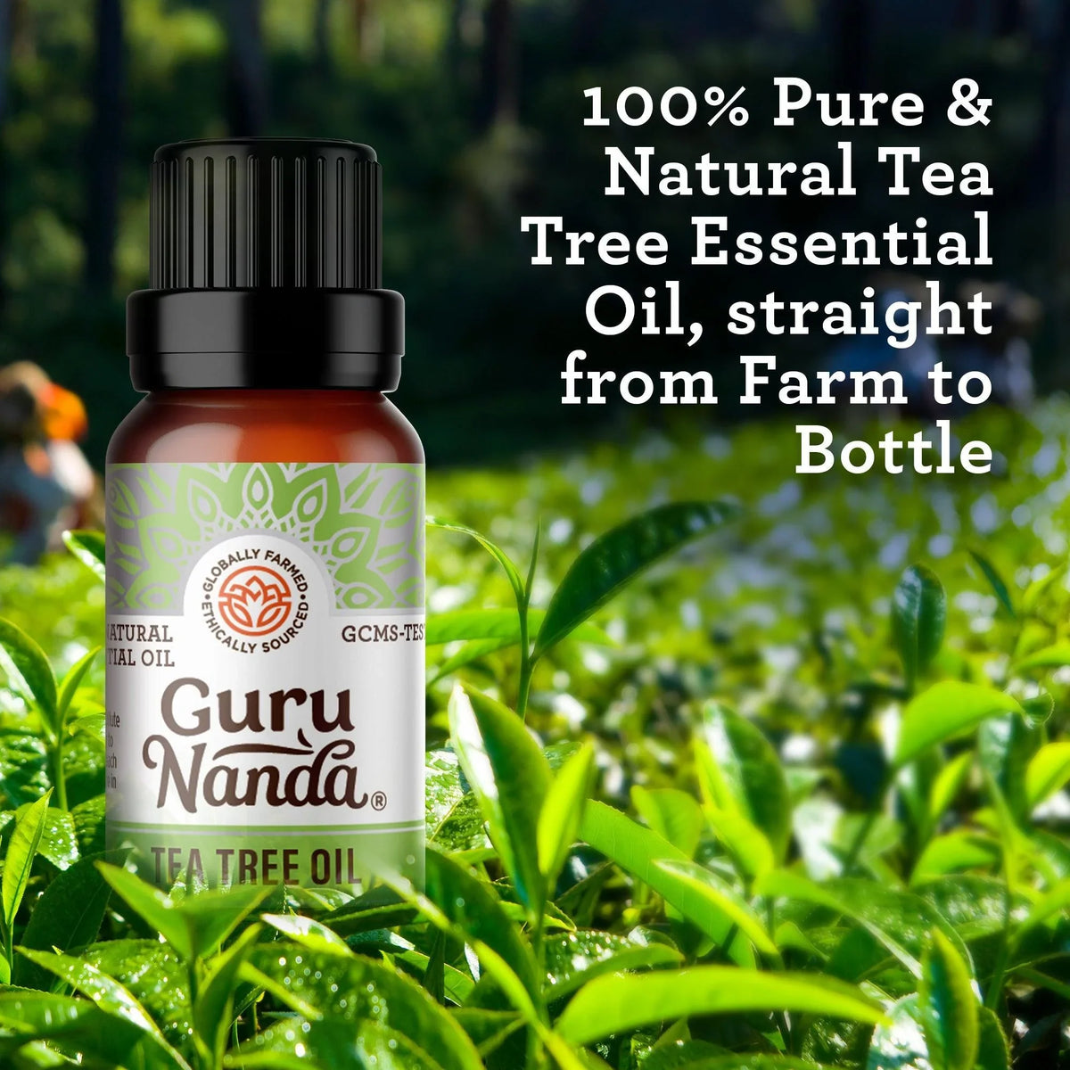 Tea Tree Essential Oil, 15 mL