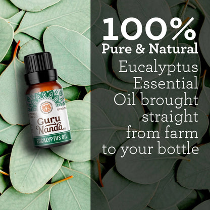 Eucalyptus Essential Oil, 15 ML – 1 Pack